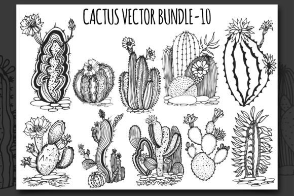 Download Cactus Vector Bundle-10 - Premium Resources