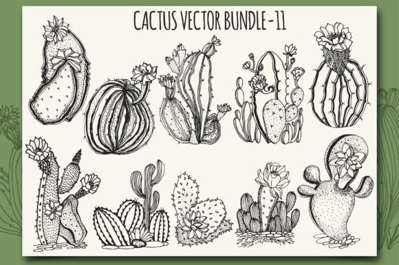 Download Cactus Vector Bundle-11 - Premium Resources