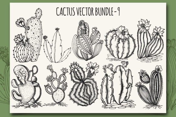 Download Cactus Vector Bundle-9 - Premium Resources